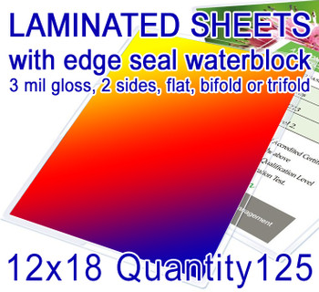 12" x 18" Full Color Print, 125 for $256, with Edge Seal Gloss Lamination. Flat or Folded, 12" x 18" Full Color Print, 125 for $256, with Edge Seal Gloss Lamination. Flat or Folded,
