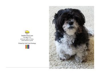 Custom Greeting Card - Iambic Chick Dog Custom Greeting Card - Iambic Chick Dog