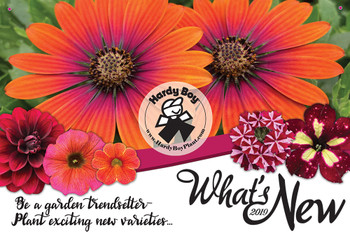 Twelve art files filling 10 48x96 4mm coroplast sheet, cut into the appropriate size., top corner grommets where indicated, ship.