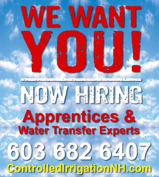 Six 8" wide x 9" tall We Want You & Three sheets of 4 Not Hiring Stickers with Gloss Laminate, Ship Six 8" wide x 9" tall We Want You & Three sheets of 4 Not Hiring Stickers with Gloss Laminate, Ship