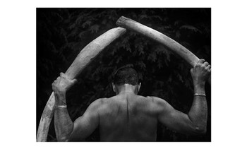 Six sets of 250 8.5x5.5 16pt double side matte finish postcards, ship Six sets of 250 8.5x5.5 16pt double side matte finish postcards, ship