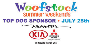 48 x 96 18oz banner w grommets all around, Wind Slits, Single Sided, Due in hand by July 20 48 x 96 18oz banner w grommets all around, Wind Slits, Single Sided, Due in hand by July 20