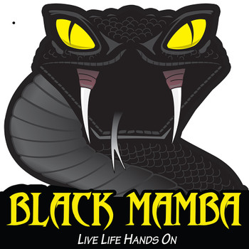 Forty-Eight Single Sided Shape Cut Black Mamba Toppers, 24x24, ship Forty-Eight Single Sided Shape Cut Black Mamba Toppers, 24x24, ship