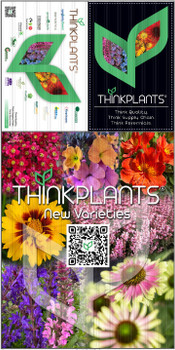 One sheet with a 48x60 scored and folded to 24x60 for shipping One sheet with a 48x60 scored and folded to 24x60 for shipping