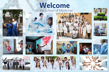 One gloss dry erase print at 70.5x46.5 with delivery, client is to apply with the given adhesive, then staple in place