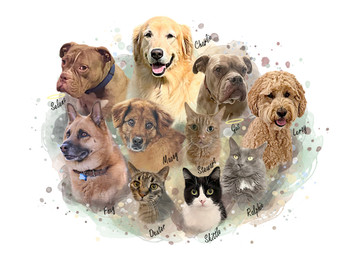 One acrylic 16x12 reverse print with spot white ink and with 4 corner holes and standoffs AND one 16x12 and one 12x9 photo prints