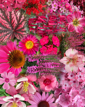 One 96x33, two 48x60 and four 22x28 single sided coro prints, score and fold, ship