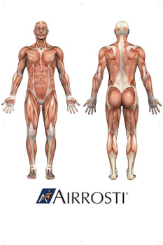 One ACM sheet AND one 48x72 and one 48x24 0.177" thick polycarbonate sheets, one 48x72 MM and one 48x23.5 forward print cling, clings have extra dots, ship