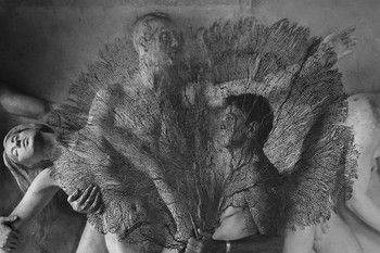 Five sets of 250 16pt double sided matte finish postcards, ship