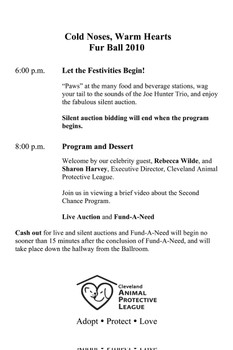 Let the Festivities Begin poster