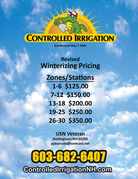 One Sided Flyers, 250, on 100lb Gloss Text, Winterizing Special