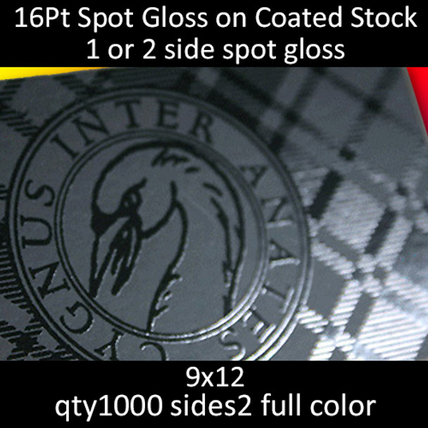 16Pt Spot Gloss on Coated Stock Cards, full color on 2 sides, 9x12, qty 1000