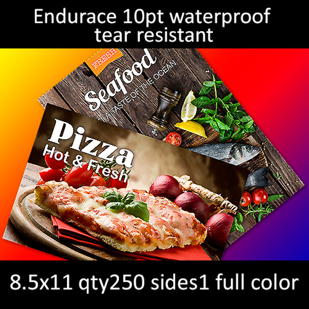 10pt Endurace waterproof tear resistant cards, full color on 1 side, 8.5x11, qty 250