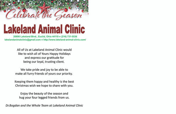Qty 300 5.5x8.5 holiday postcards, 250 mailed, the rest delivered to Lakeland Animal Clinic Qty 300 5.5x8.5 holiday postcards, 250 mailed, the rest delivered to Lakeland Animal Clinic