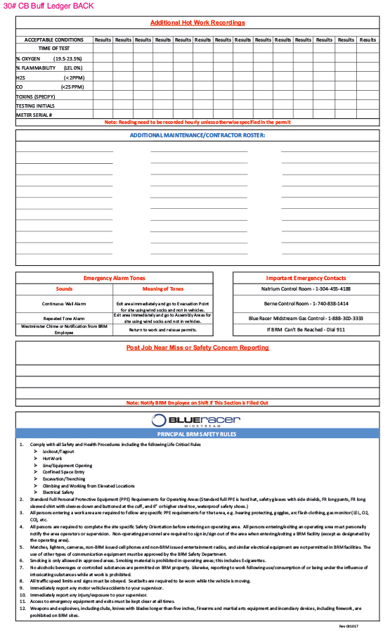 114629-work-permit-060916-30lb-cb-ledger-top-sheet-2-sides-full-color-qty4000-moundsvillewv-proof-2.jpg