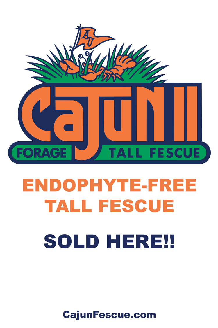 16-x-24-cajun-ii-sign.jpg