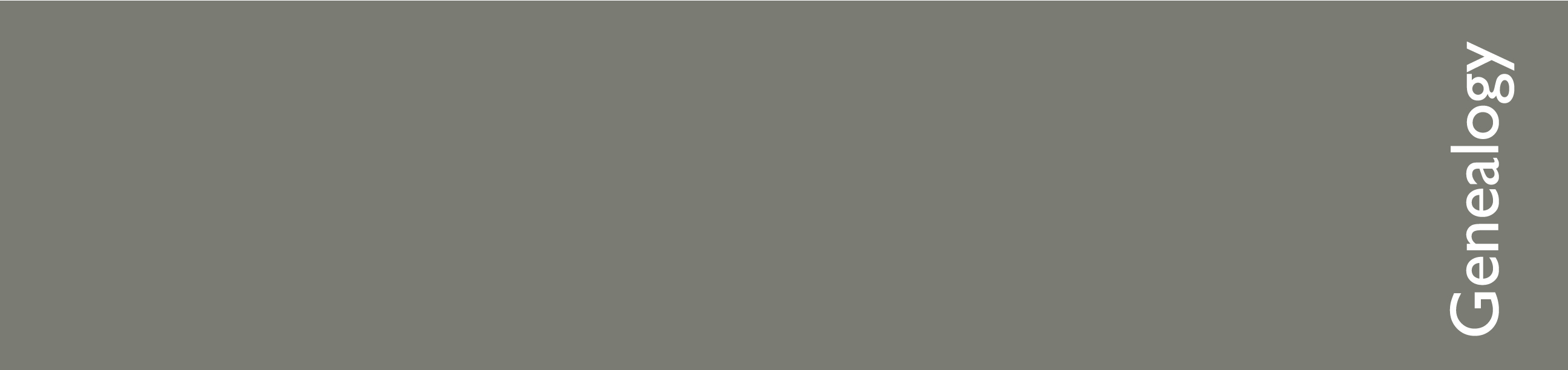 18.-back-solid-gray-33x8.5-418-u-pantone-uncoated-best.jpg