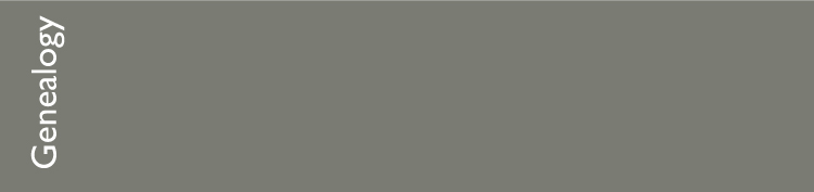 18b.-front-solid-gray-33x8.5-418-u-pantone-uncoated-best.jpg