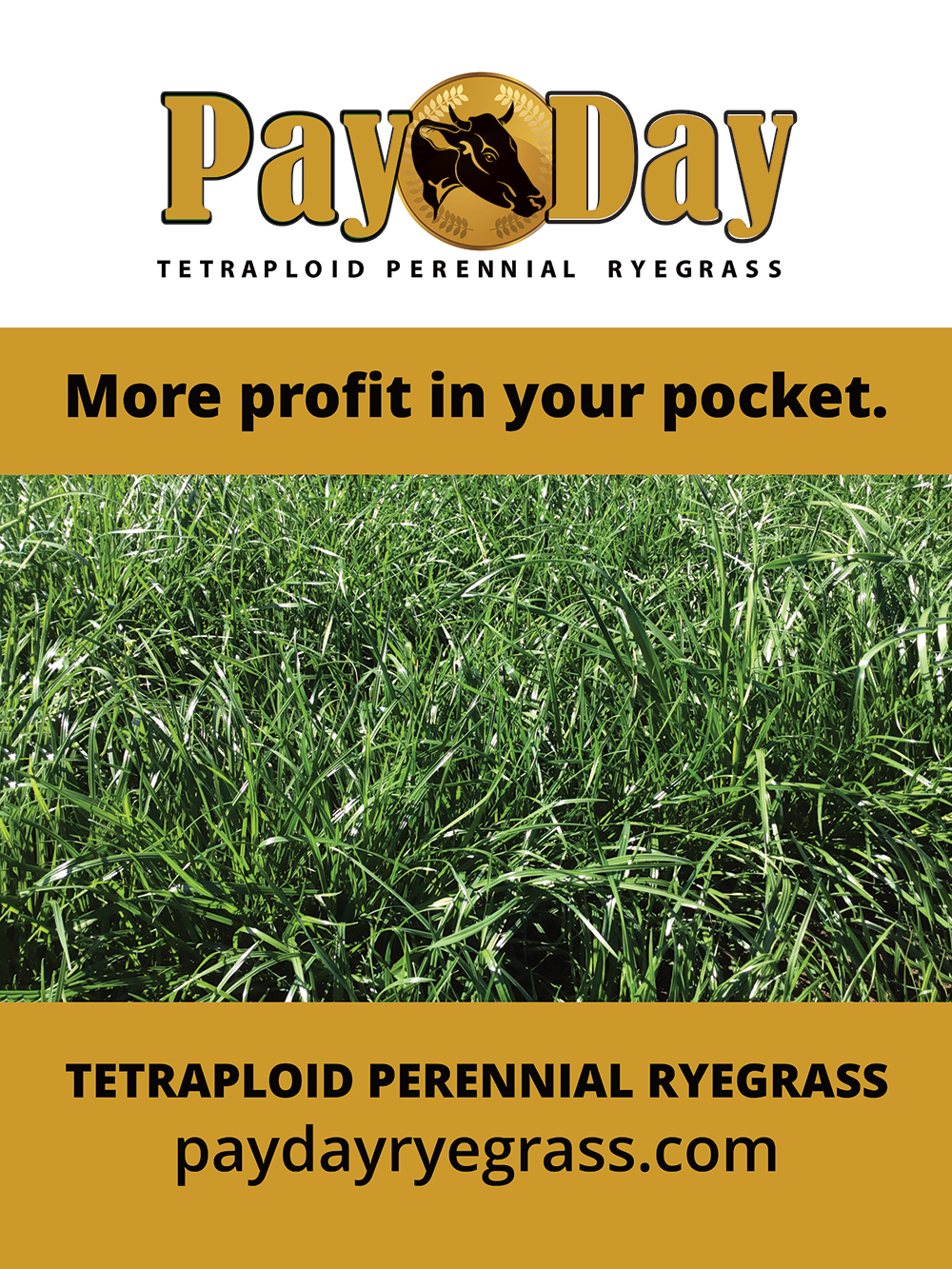 18x24-with-bleed-payday-sign.jpg
