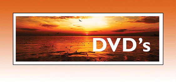 28-29-orange-sign.gif