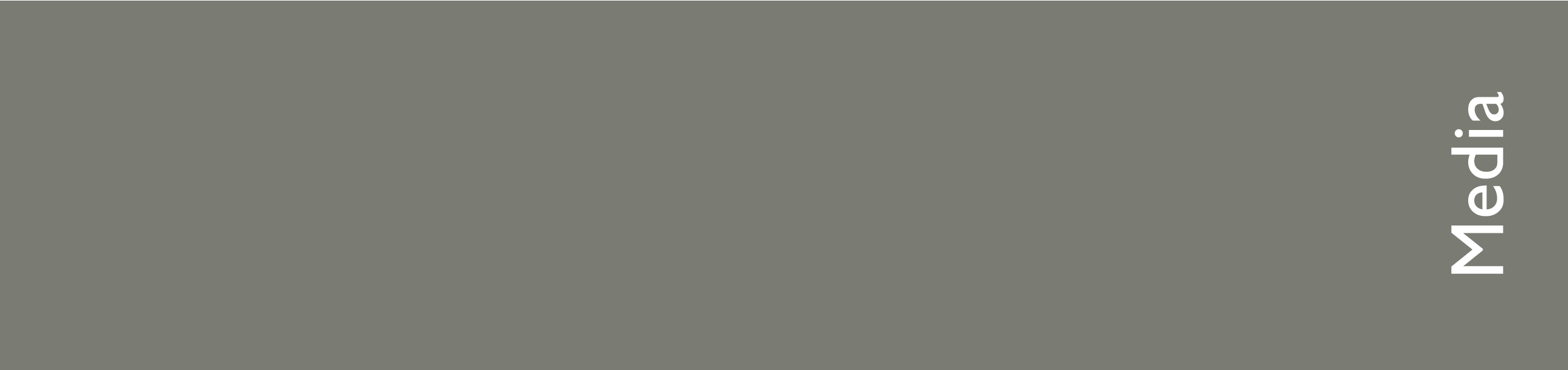 30-back-solid-gray-33x8.5-418u-pantone-uncoated-best.jpg
