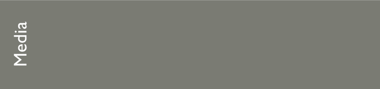 30b-front-solid-gray-33x8.5-418-u-pantone-uncoated-best.jpg