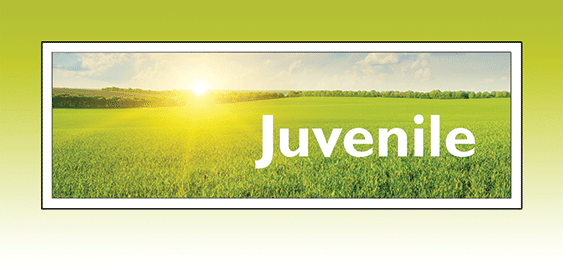 37-38-40-41-green-sign.gif