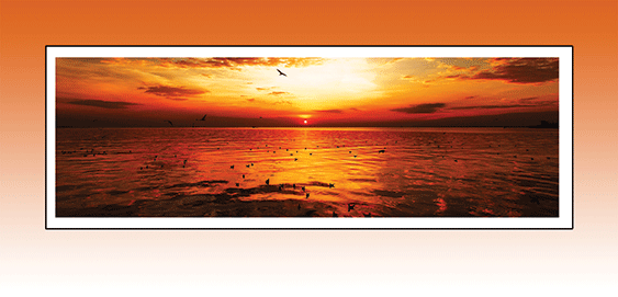 50-orange-sign.gif