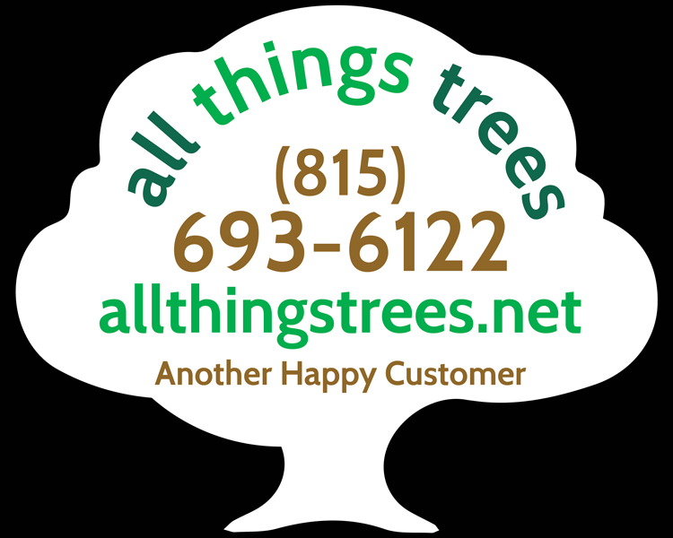 all-things-trees-mock-up.jpg