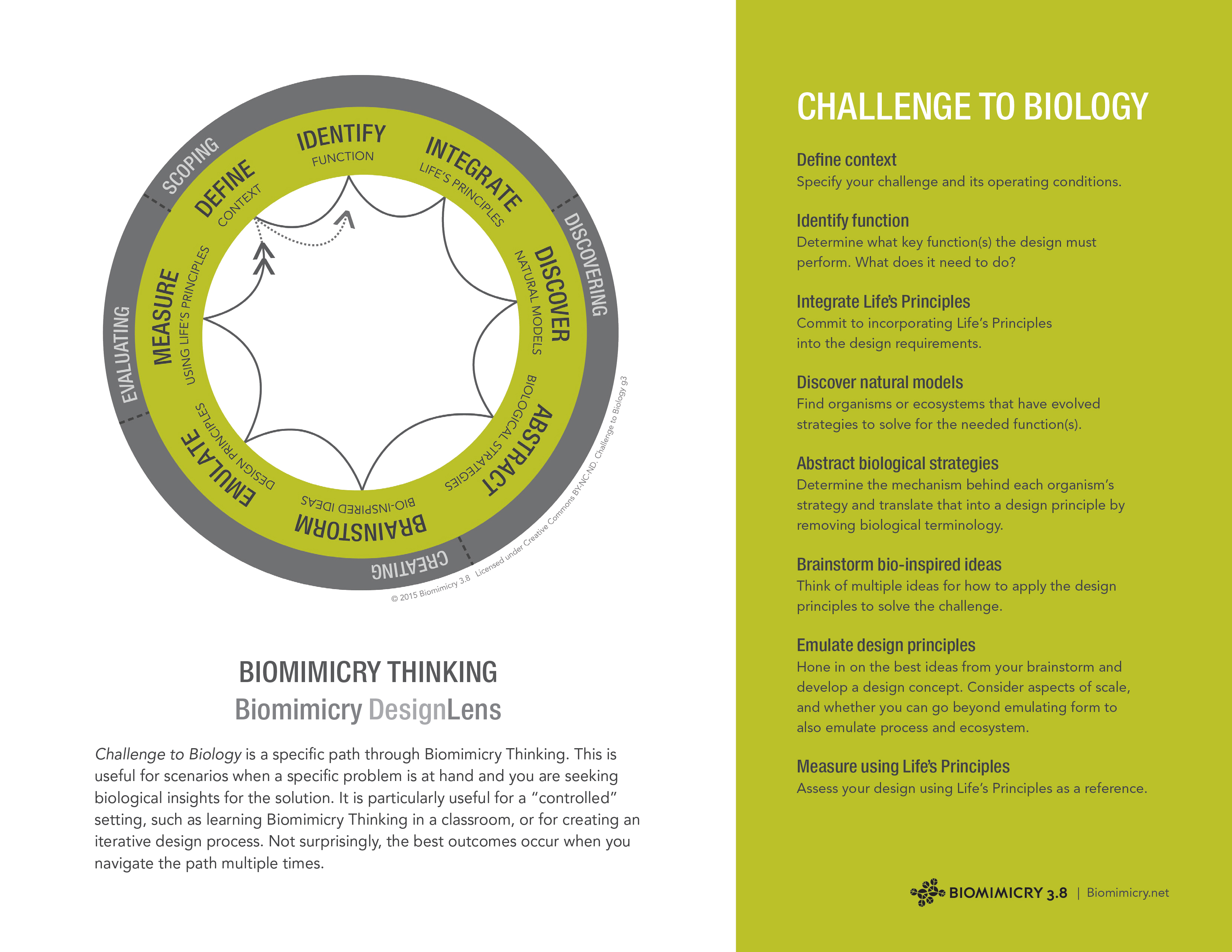 biomimicry-thinking-handout-biomimicry38-1.jpg