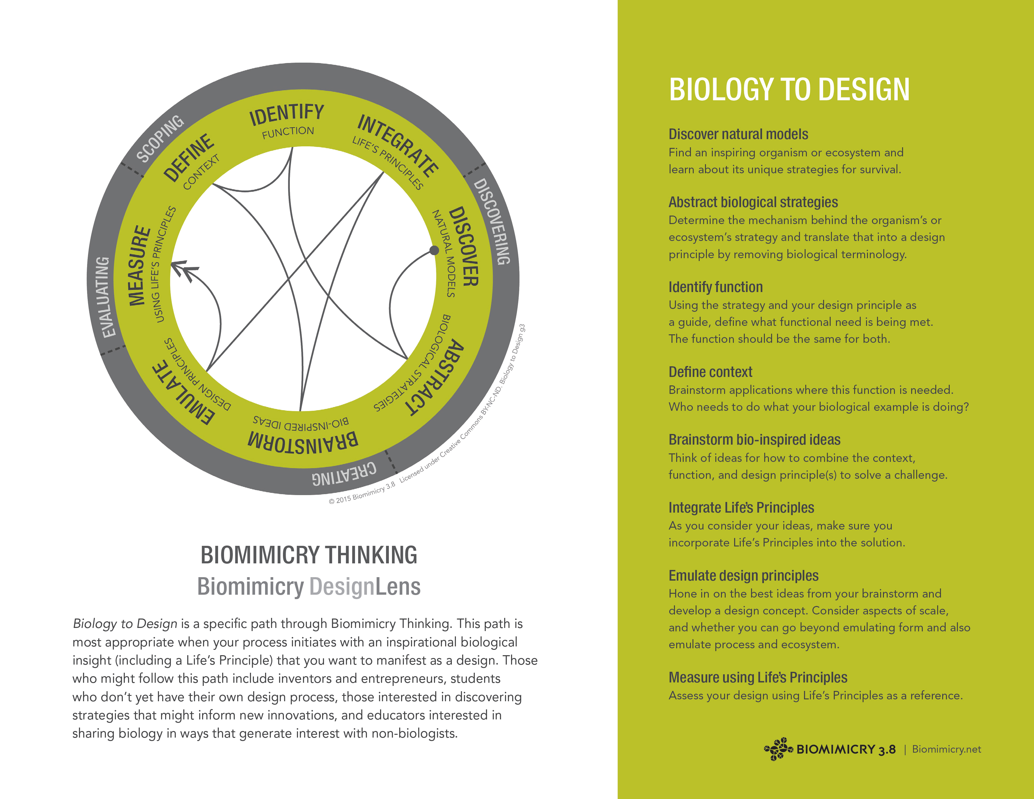 biomimicry-thinking-handout-biomimicry38-2.jpg