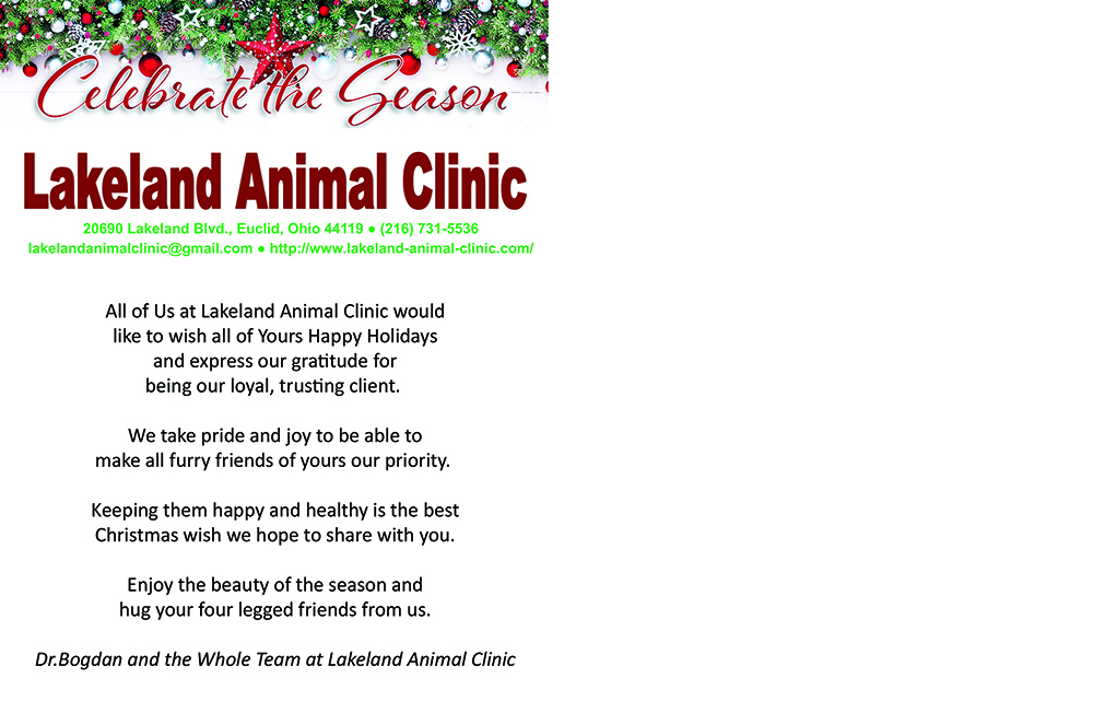 bogdan-lakeland-animal-clinic-2019-holida-card-back.jpg