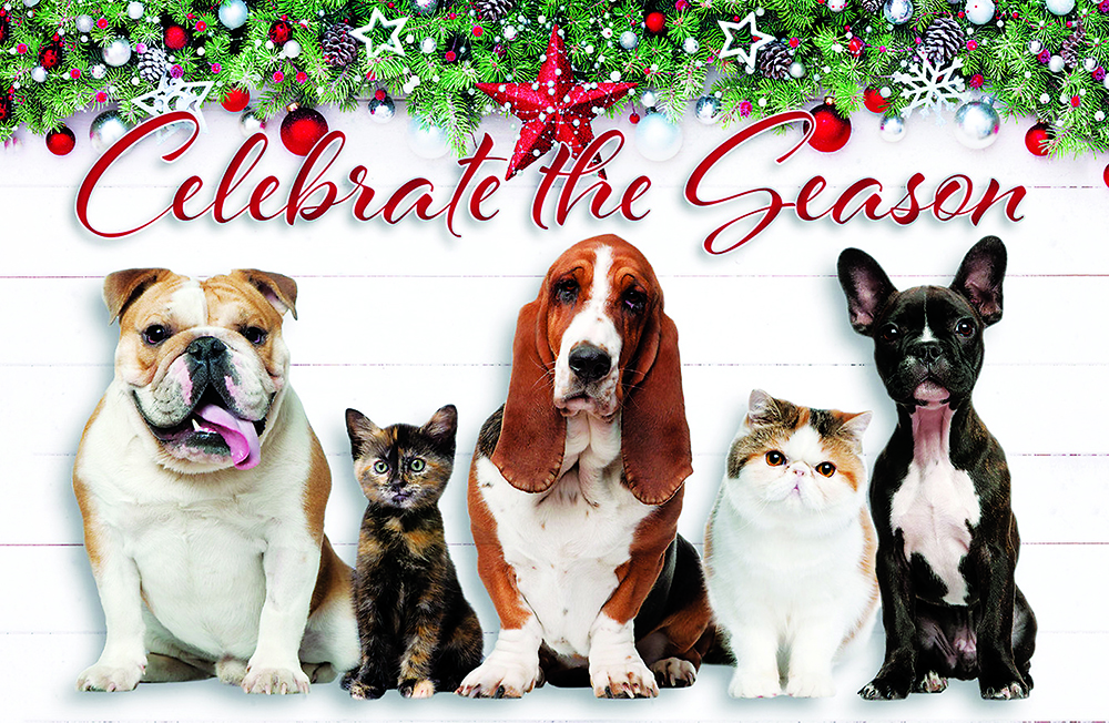 bogdan-lakeland-animal-clinic-2019-holida-card-front.jpg