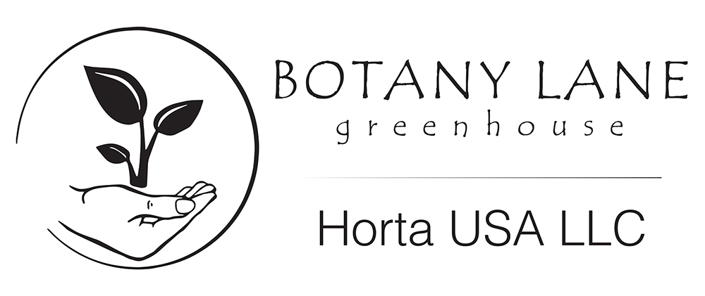 botany-horta-sign-qty2-paula-scott.jpg