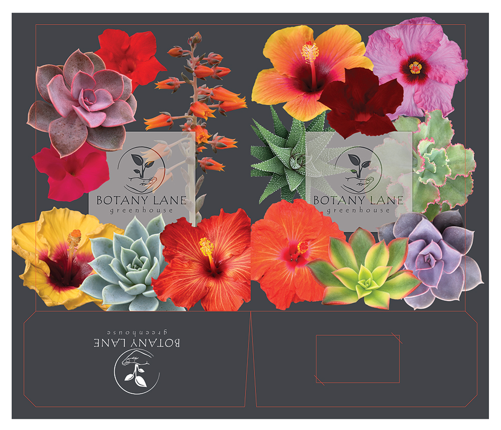 botany-lane-folder-template-paula-scott.jpg