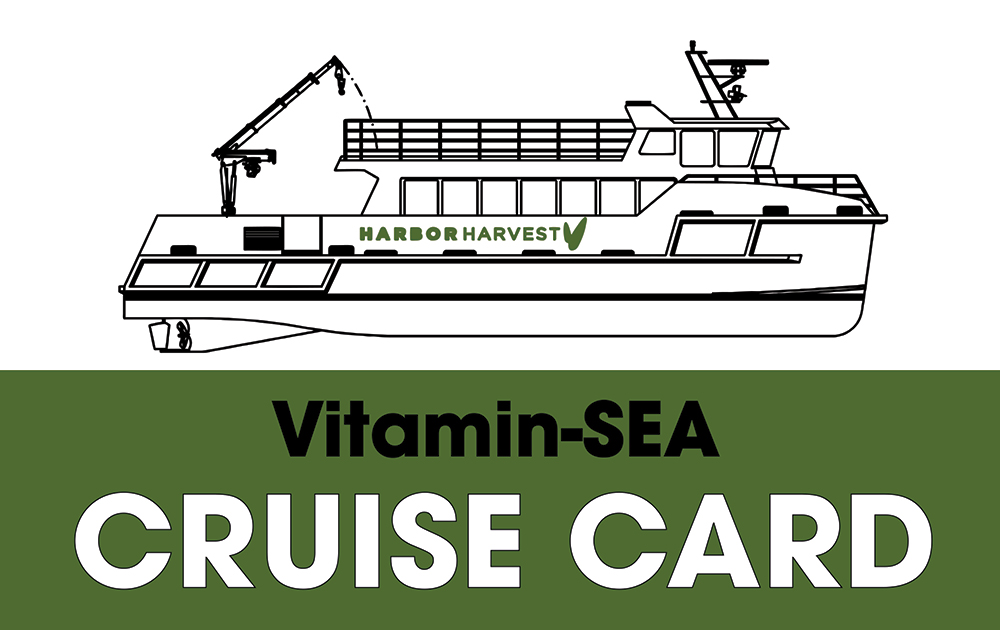 cruise-card-front.jpg