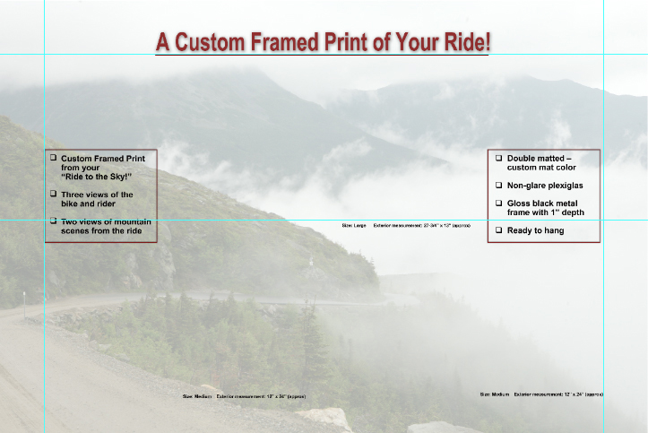 custom-framed-print-adhesive-backed-vinyl-4025x6025.jpg