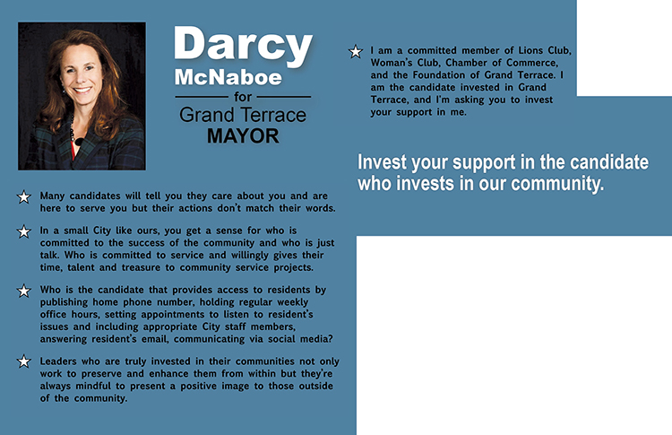 darcy-for-mayor-d7-1printer-back-flat.jpg