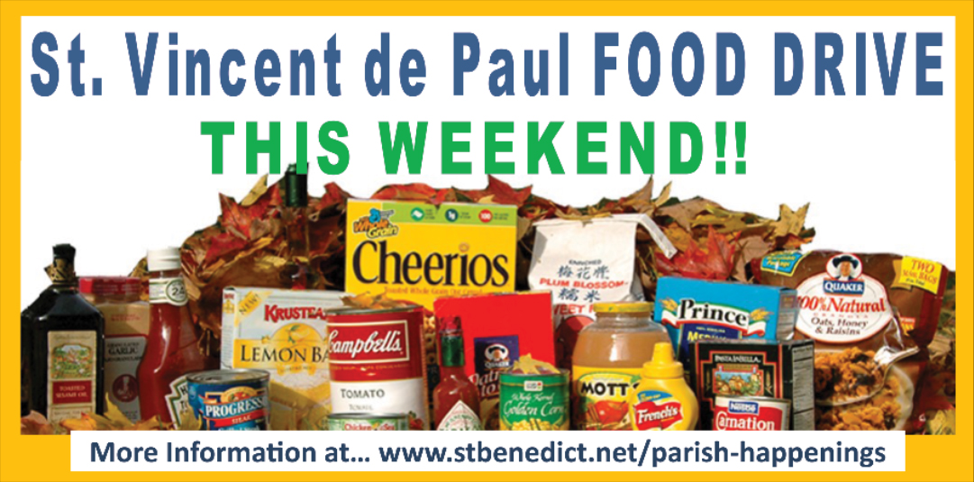 food-drive-banner-47x98-w-4-in-pole-pockets-top-bottom-16oz-qty1-shevlin.jpg