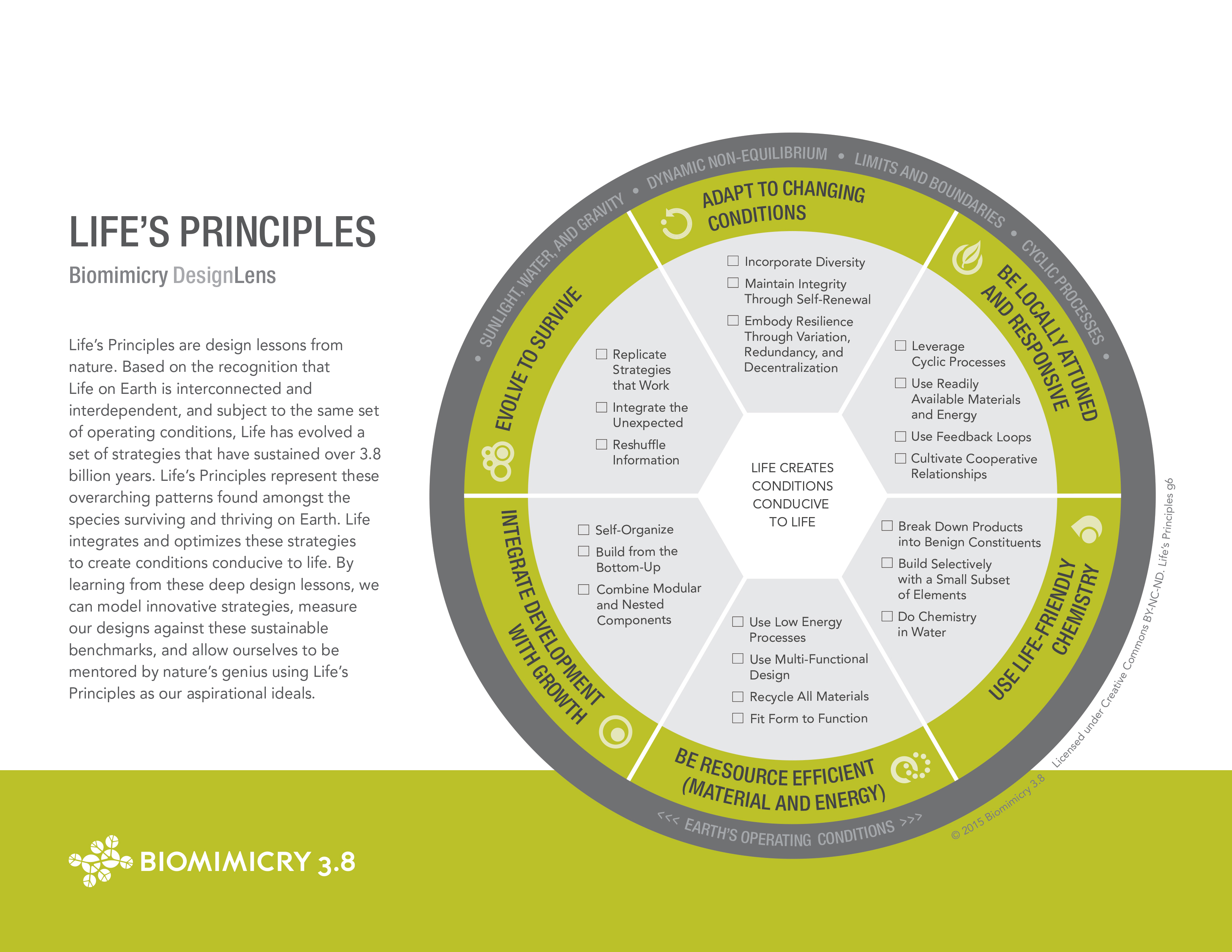 lifes-principles-handout-biomimicry38-1.jpg