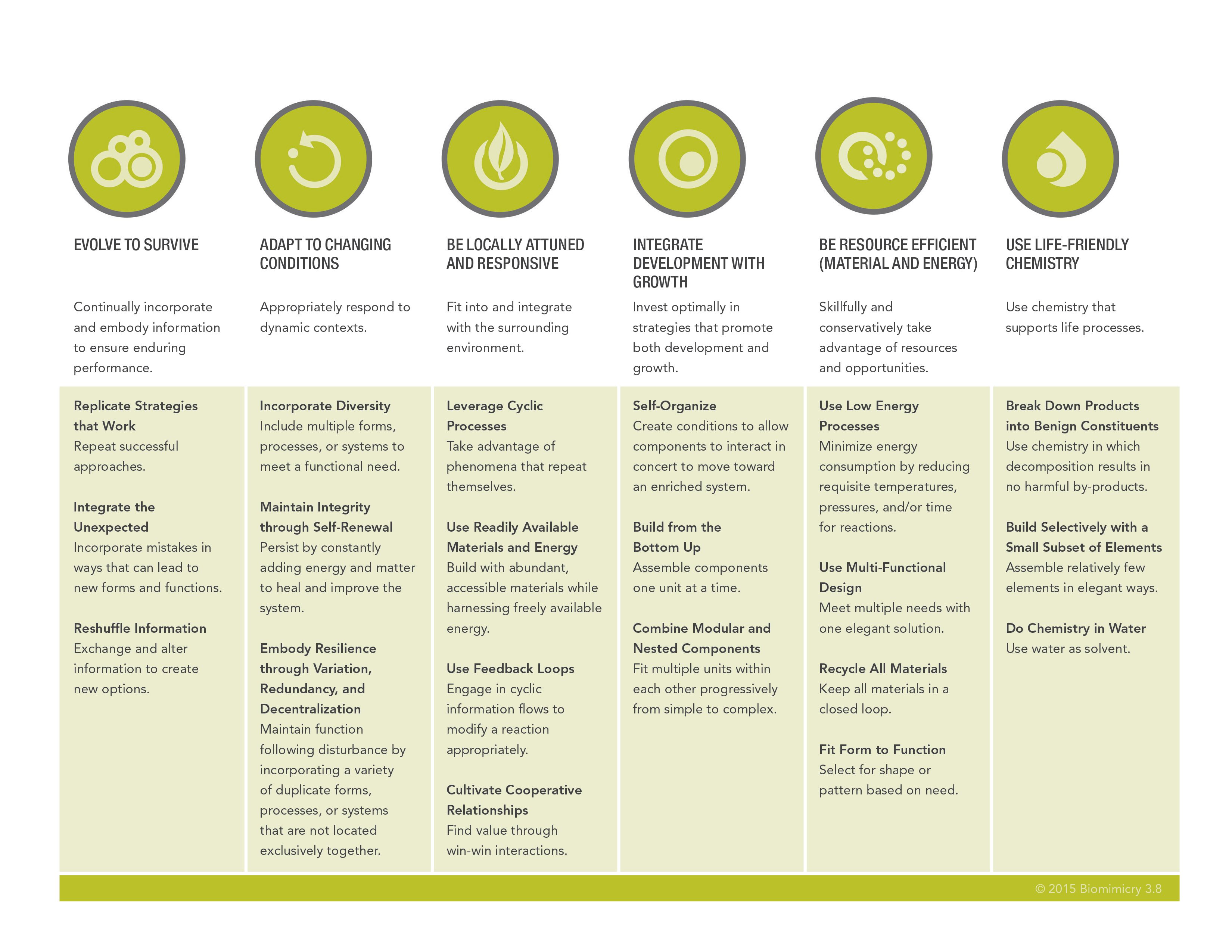 lifes-principles-handout-biomimicry38-2.jpg