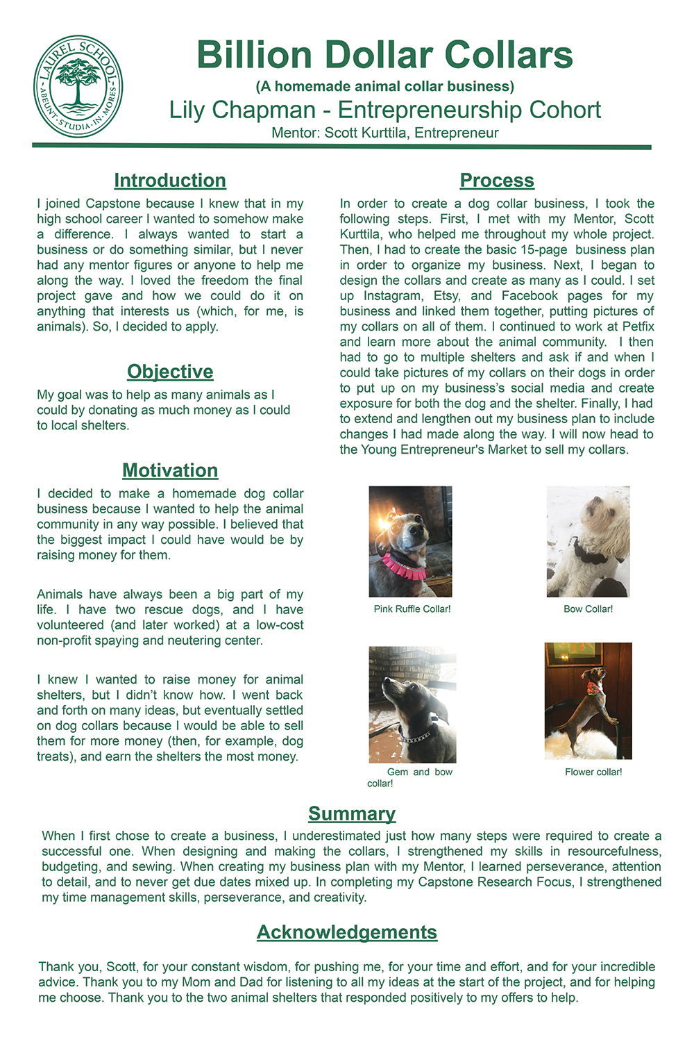 lily-chapman-capstone-senior-presentation.jpg