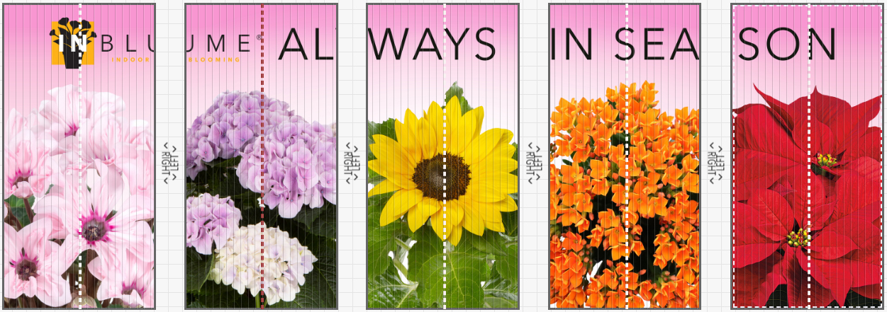 paula-last-5-sheets.jpg