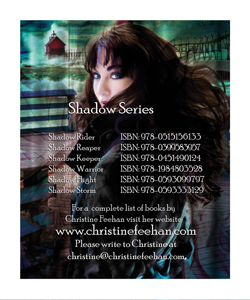 shadow-storm-back-template2.jpg