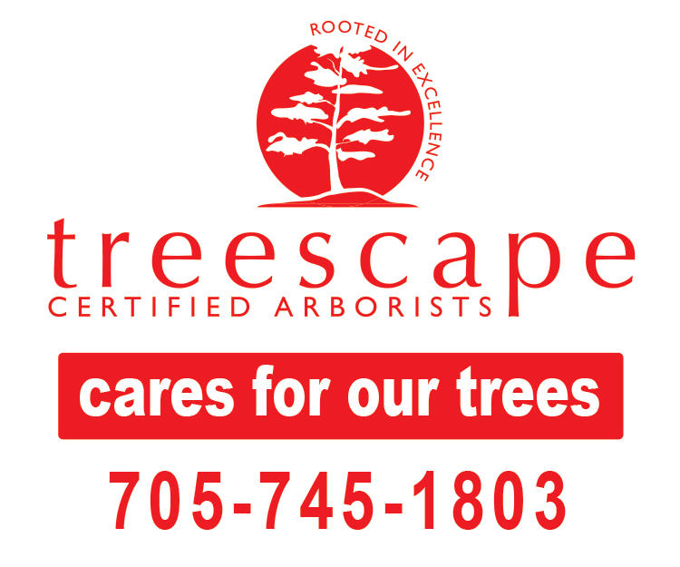 treescape-polybag-sign-24wx20-version-705-745-1803-qty800.jpg