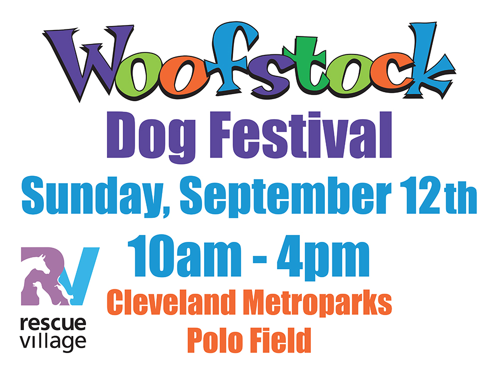 woofstock-yard-signs-qty100-sides2-h-frames.jpg