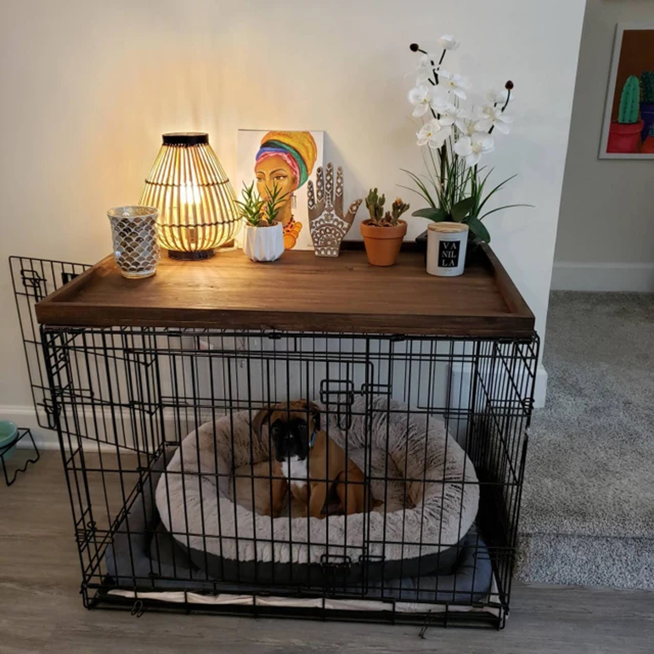 what dog crate is best