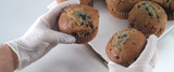 Vinyl Gloves: An Ideal Choice for Food Processing