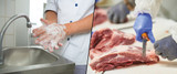 Handwashing in Food Processing: A Critical Control Step for Food Safety