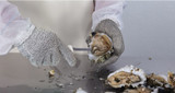 Understanding Cut-Resistant Glove Levels for Plant Safety